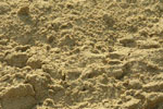Septic Sand