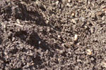 Top Soil